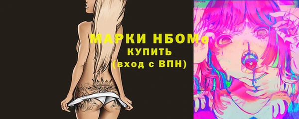 прущий лед Вяземский