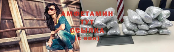 прущий лед Вяземский