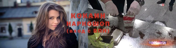 шишки Володарск