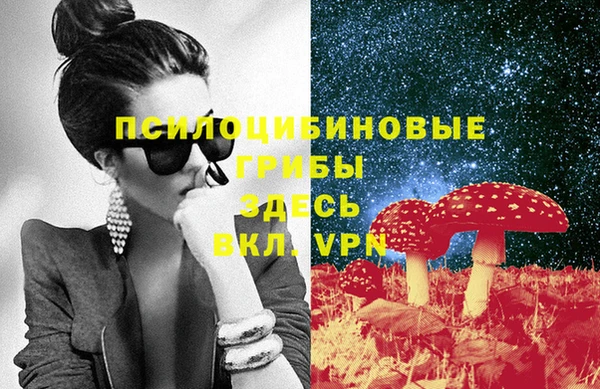 МДПВ Волосово