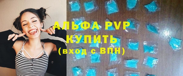 прущий лед Вяземский